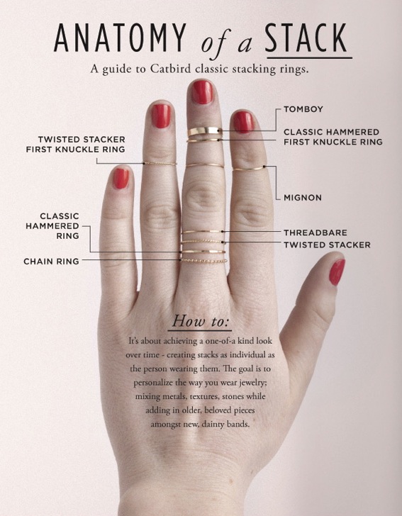 anatomy_of_a_stack_cat-bird-knuckle-rings