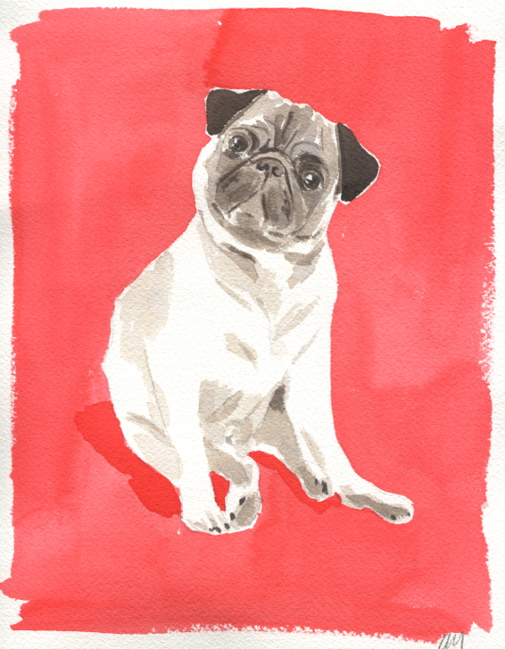 Alfred the Pug by Caitlin McGauley