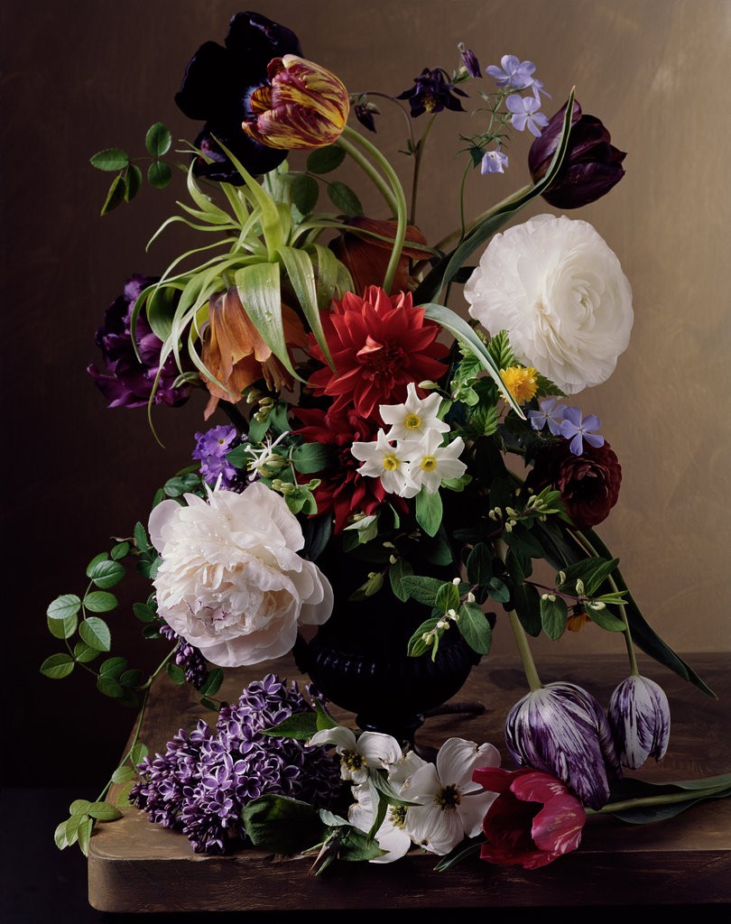 floral-still-life-sharon-core-photography-old-masters-paintings-1