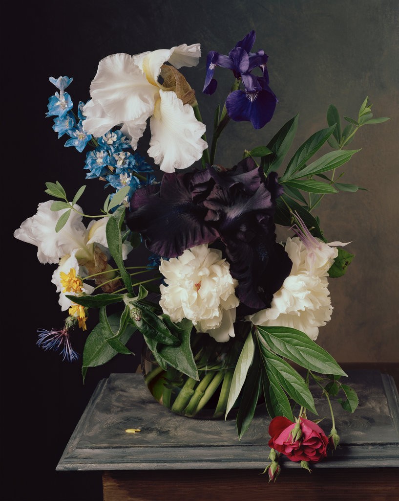 floral-still-life-sharon-core-photography-old-masters-paintings-2