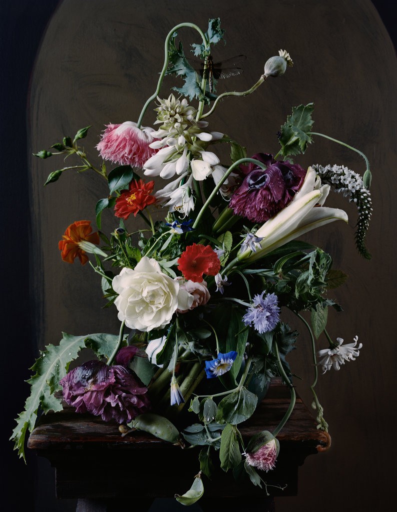 floral-still-life-sharon-core-photography-old-masters-paintings-4