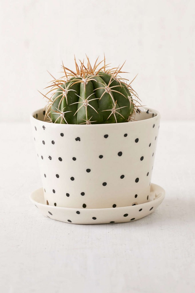 black-white-ceramic-polka-dot-planter