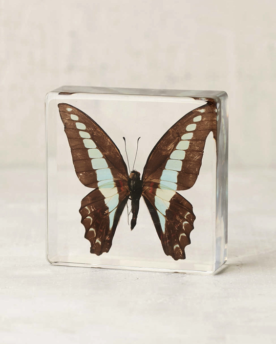 butterfly-lucite-acrylic-paperweight-sculpture