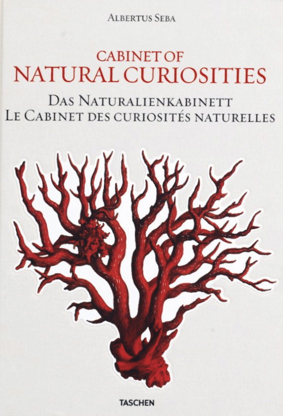 cabinet-of-natural-curiosities-book-cover