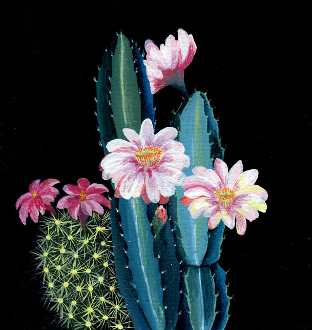 cacti-succulent-art-print-art-and-people-laura-garcia-serventi-1