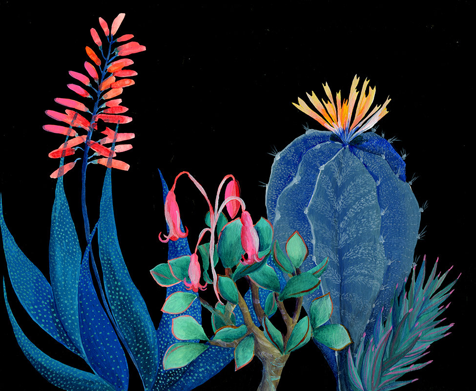 cacti-succulent-art-print-art-and-people-laura-garcia-serventi-13