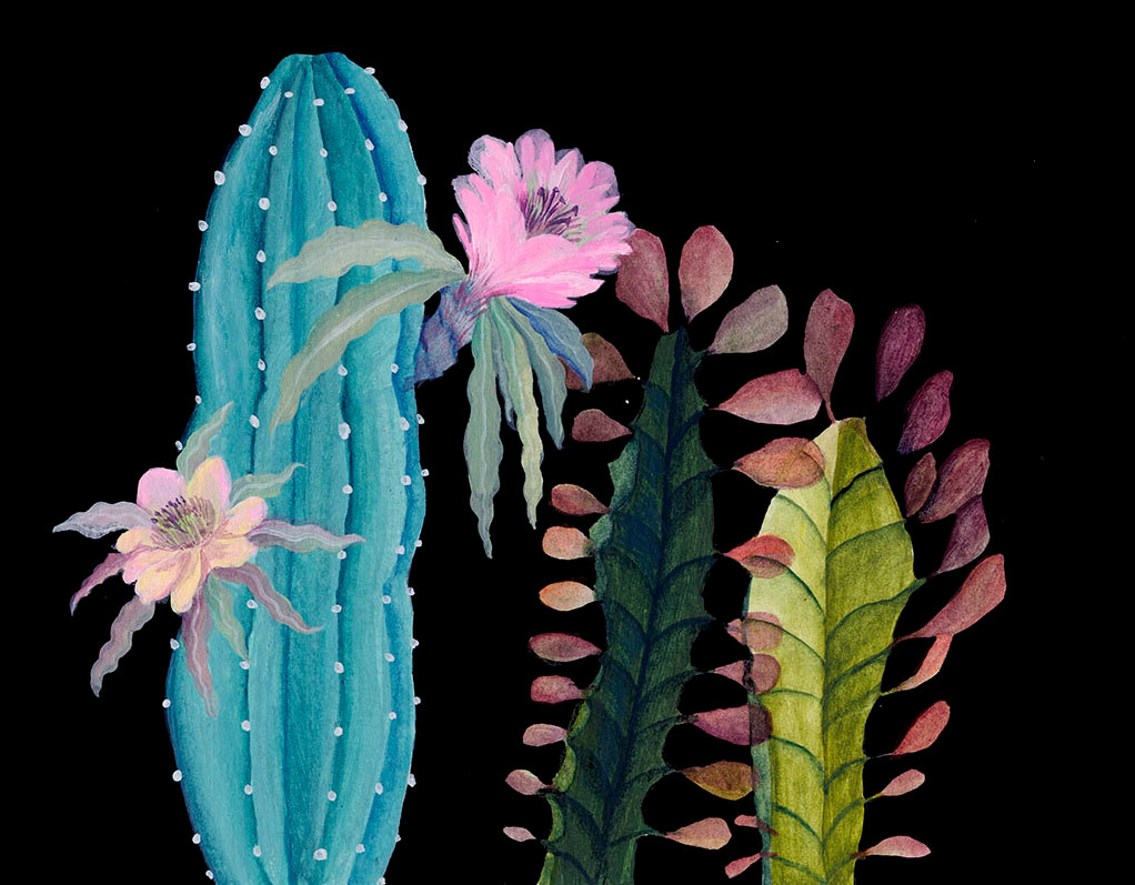 cacti-succulent-art-print-art-and-people-laura-garcia-serventi-8