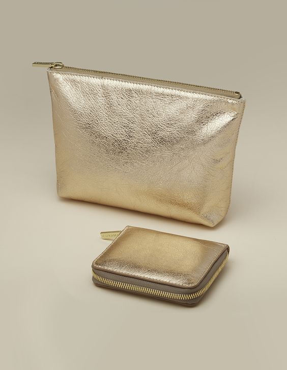 cuyana-metallic-shimmer-wallet-leather-pouch