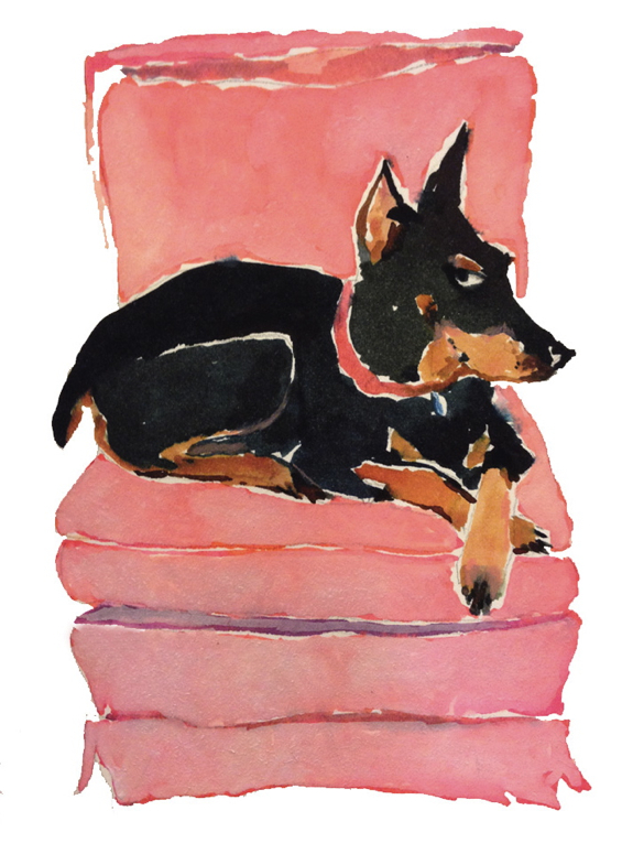 happy-menocal-artist-custom-pet-portrait-dog