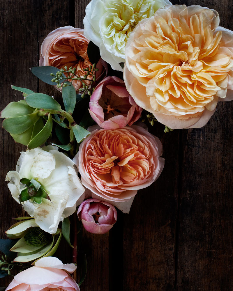kari-herer-botanical-art-print-english-rose-floral-2
