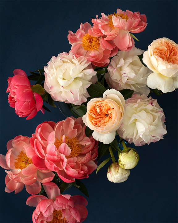 kari-herer-botanical-art-print-peonies-pink-floral-4