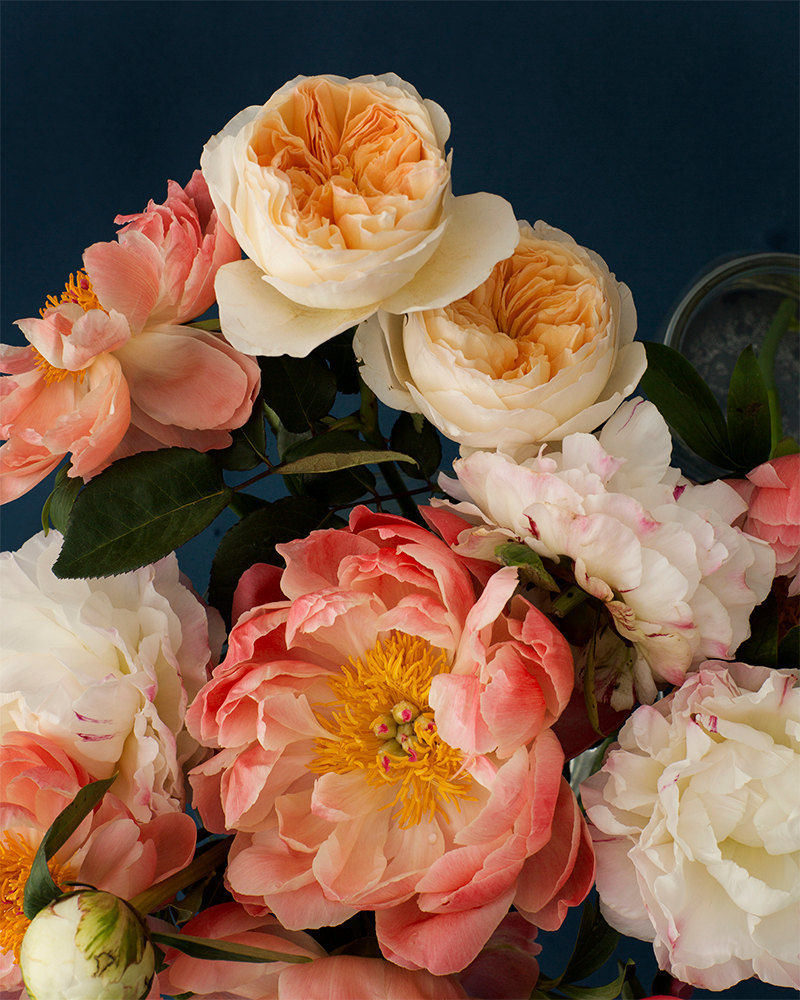 kari-herer-botanical-art-print-peonies-pink-floral-5
