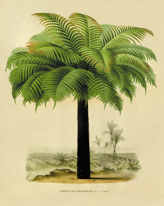 antique-wall-art-etsy-palm-tree-2
