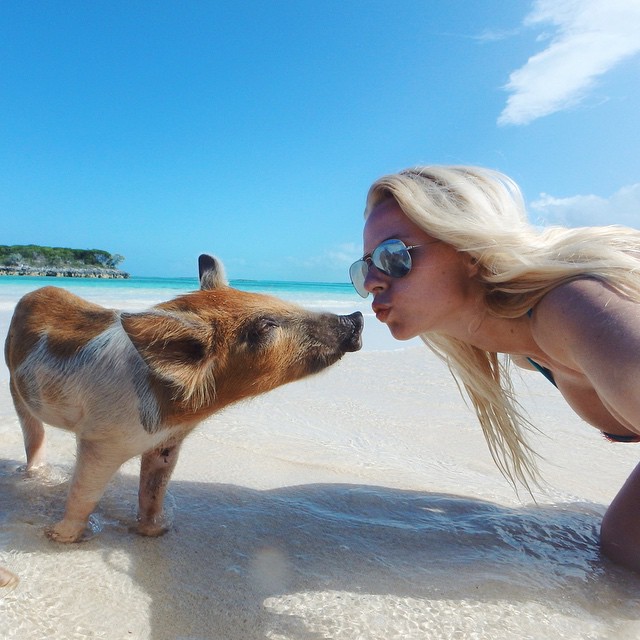 Pig Beach, Big Major Cay, Bahamas
