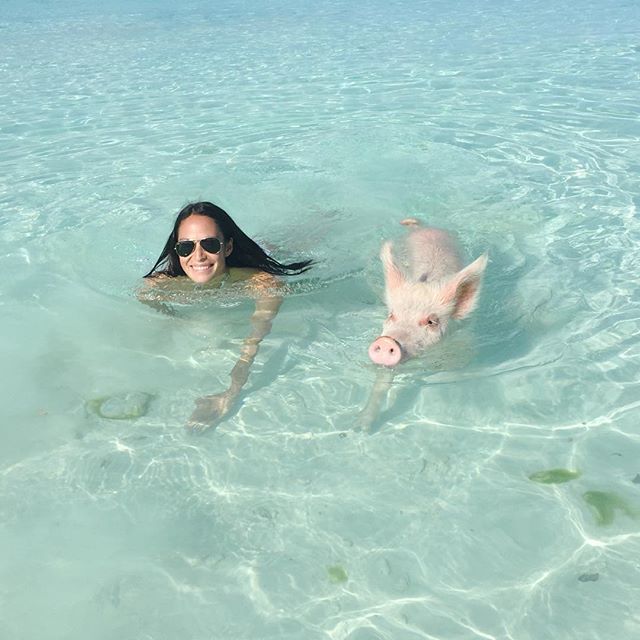 Pig-Beach-Swimming-Big-Major-Cay-Bahamas-13