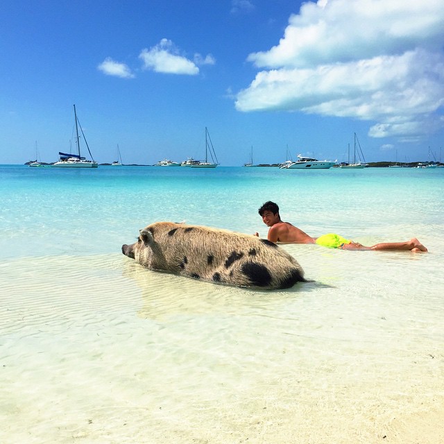 Pig-Beach-Swimming-Big-Major-Cay-Bahamas-3