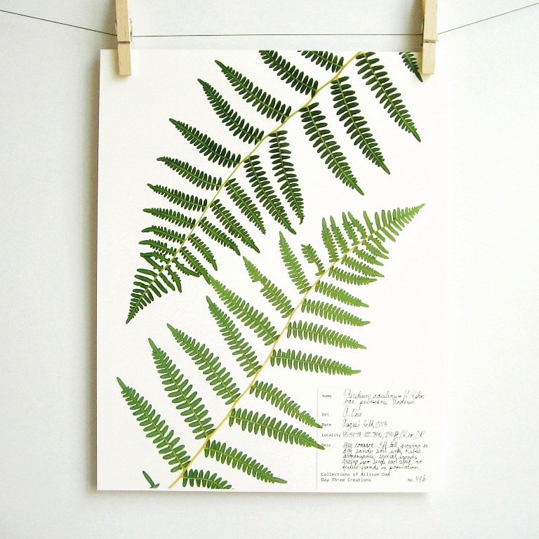 botanical-plant-prints-day-three-creations-2