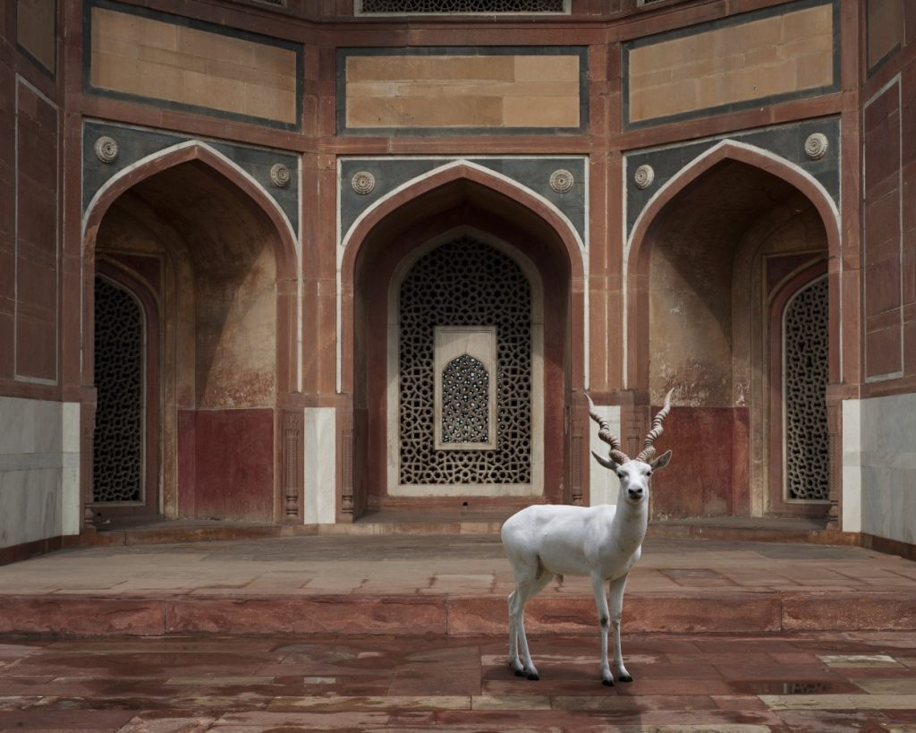 india-song-karen-knorr-photography-10