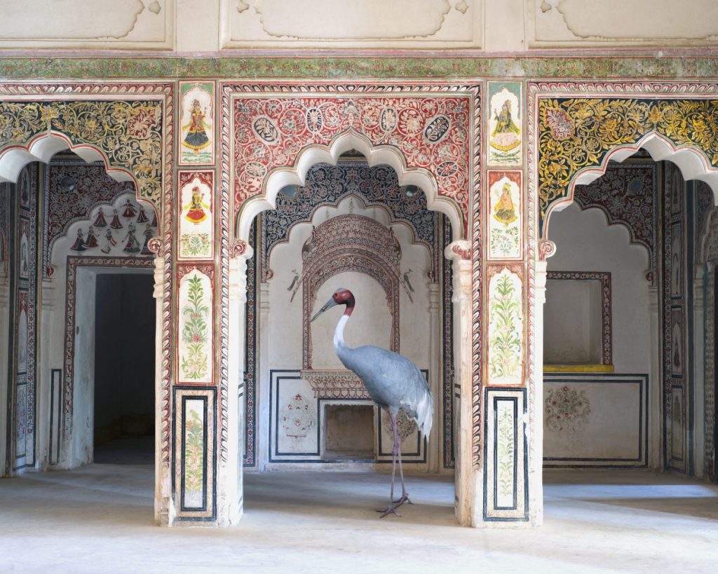 india-song-karen-knorr-photography-8