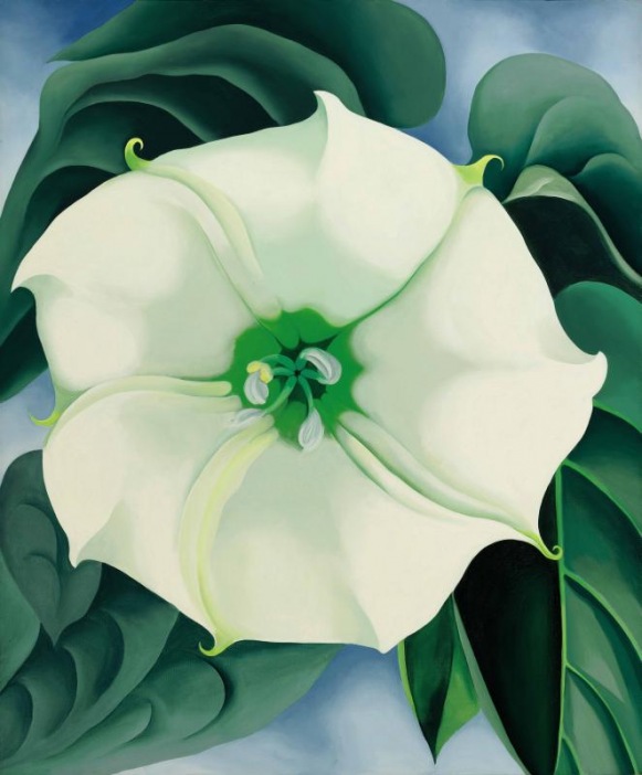 jimson-weed-white-flower-georgia-okeefe-tate-modern-theneotrad