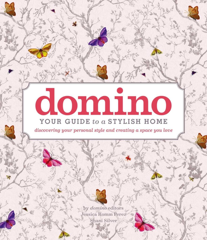 domino-book-cover