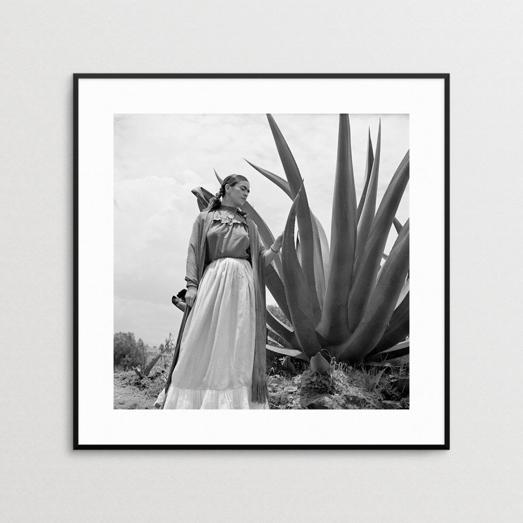 frida-kahlo-portrait-fine-earth-prints-4