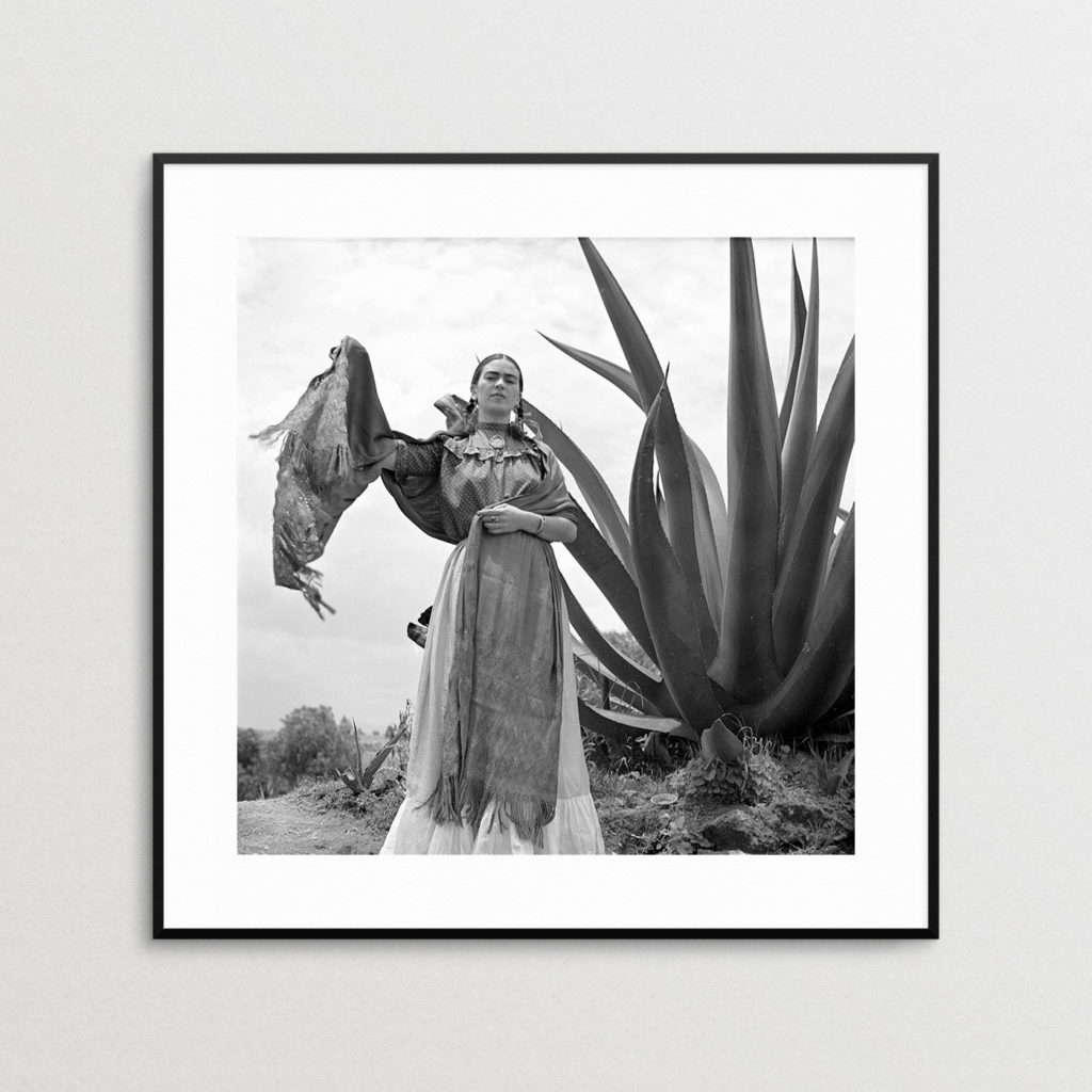 frida-kahlo-portrait-fine-earth-prints-8