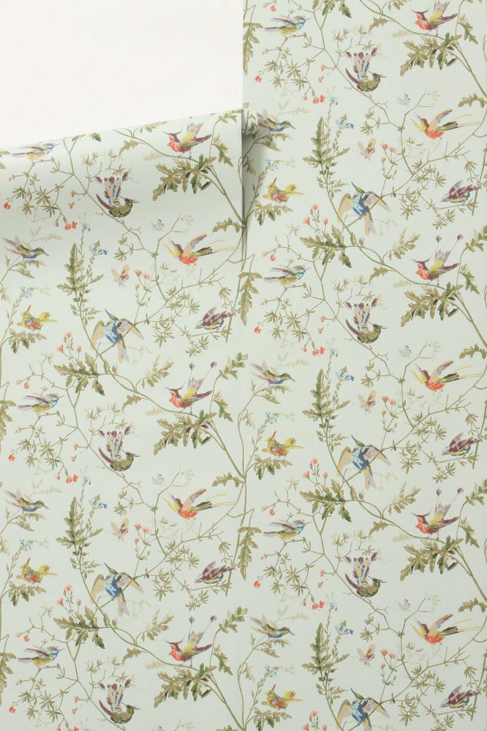 hummingbird-wallpaper-cole-and-sons