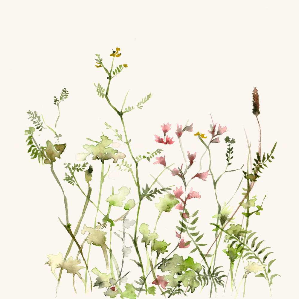 wild-flower-watercolor-art-print
