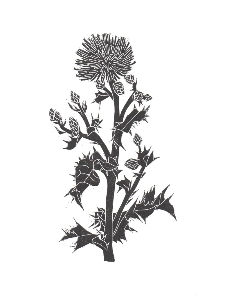 diane-rickerby-botanical-linocut-print-the-travelling-press-etsy-1-2