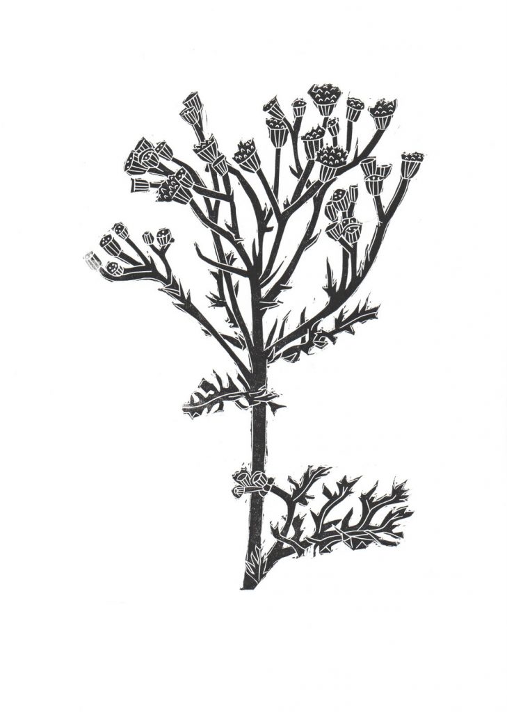 diane-rickerby-botanical-linocut-print-the-travelling-press-etsy-4