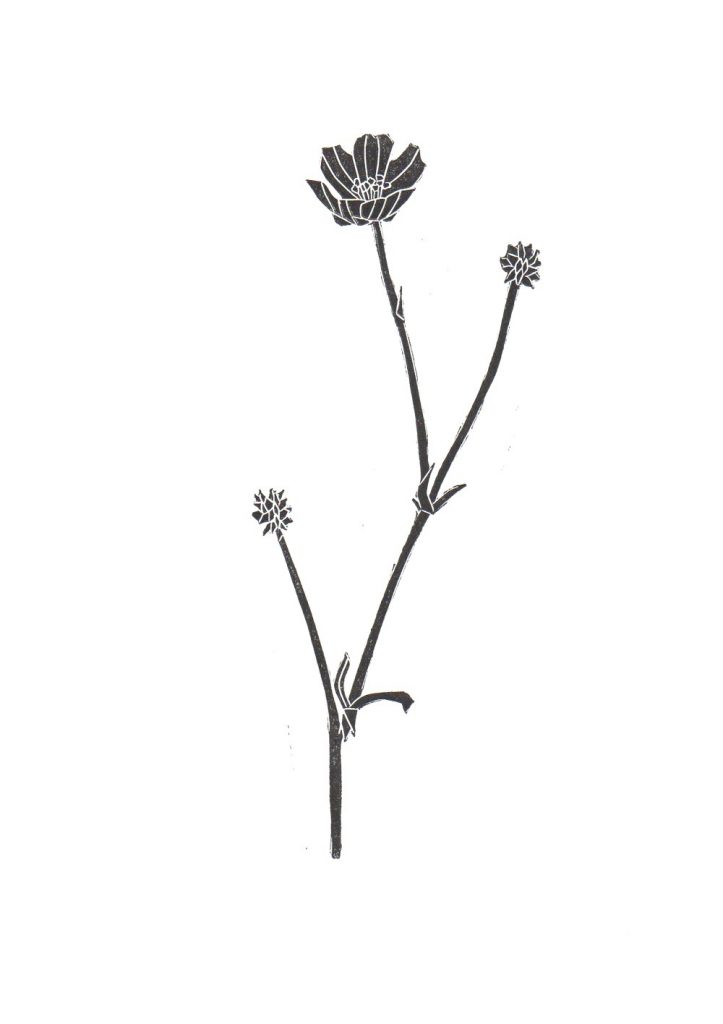 diane-rickerby-botanical-linocut-print-the-travelling-press-etsy-5-1