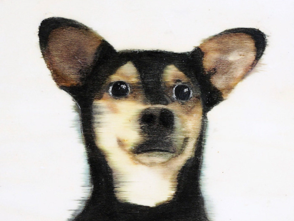 dog-portrait-wilma-wau-etsy-art-painting-1