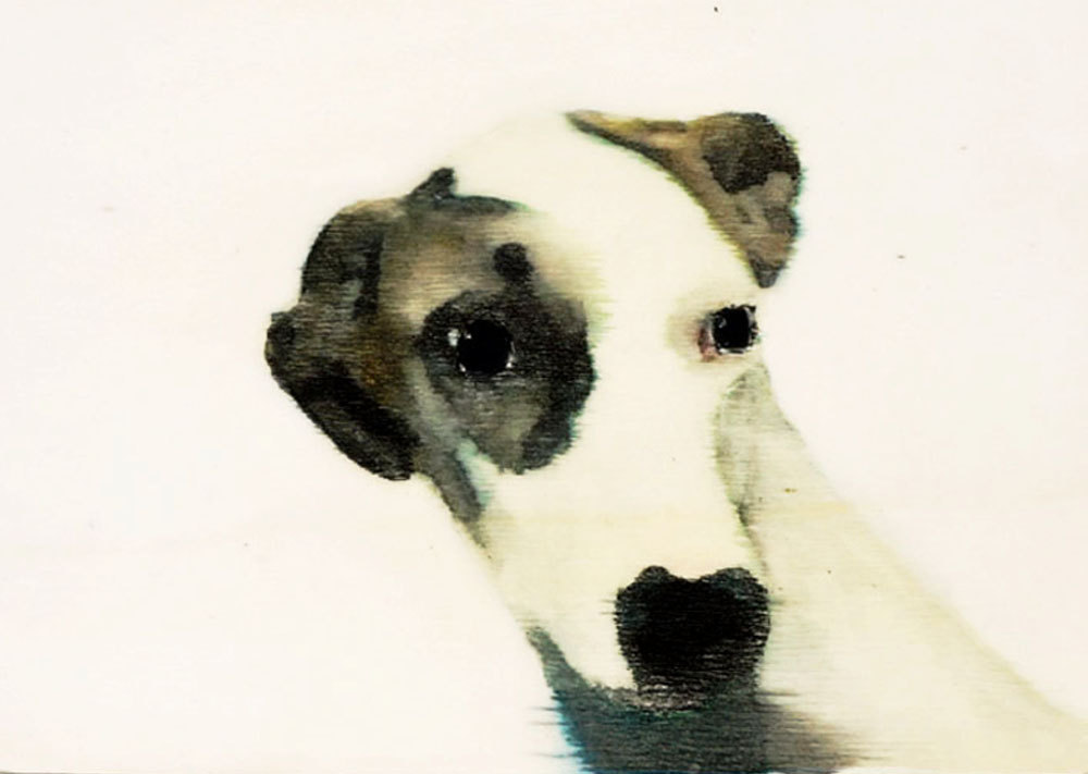 dog-portrait-wilma-wau-etsy-art-painting-4