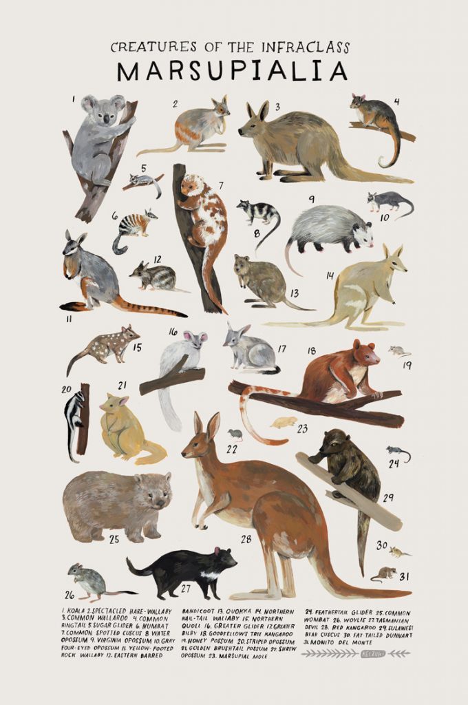 kelsey-oseid-kelzuki-etsy-animal-art-print-7
