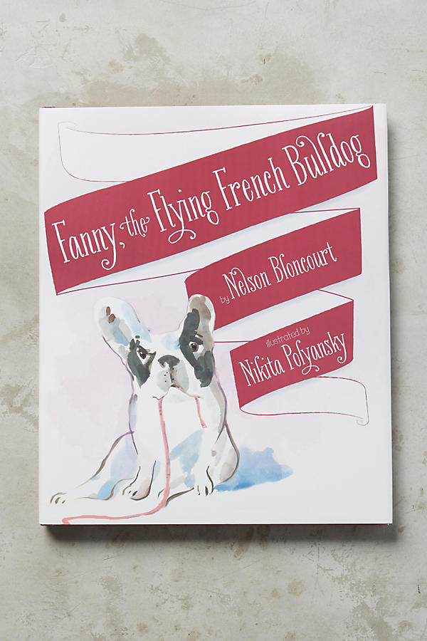 fanny-the-flying-french-bulldog-childrens-book