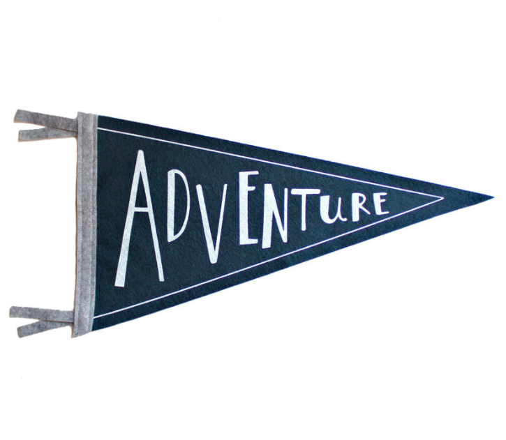 adventure-pennant-flag