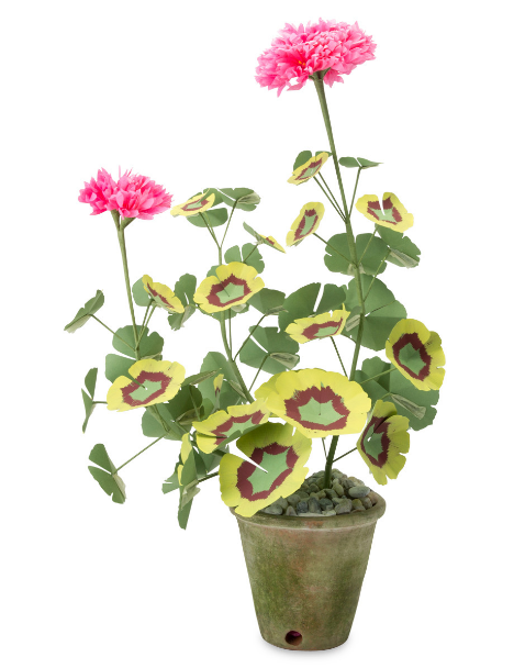 paper-geranium-plant