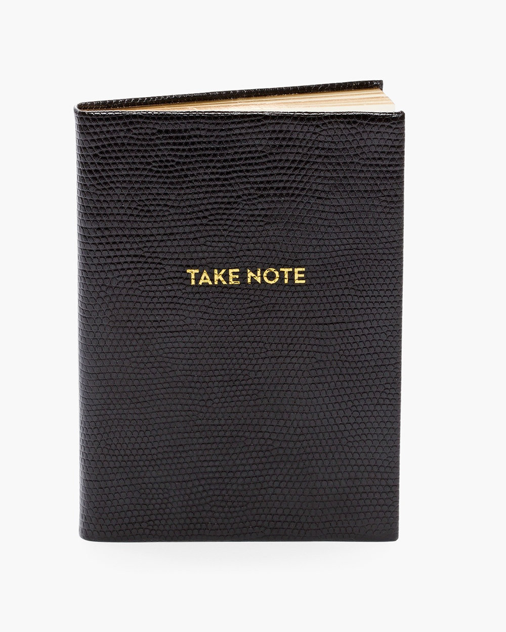 take-note-notebook