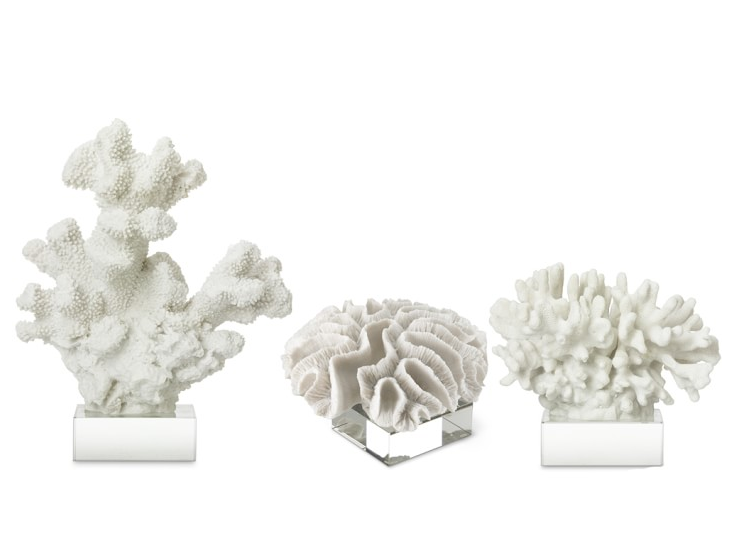 white-coral-on-glass-stand