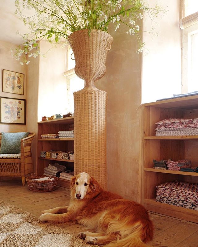 Amanda Brooks' new Cotswolds boutique, Cutter Brooks, in Stow-on-the-Wold, England. Golden Retriever. Wicker pedestal and urn by Atelier Vime. Sisal rug.