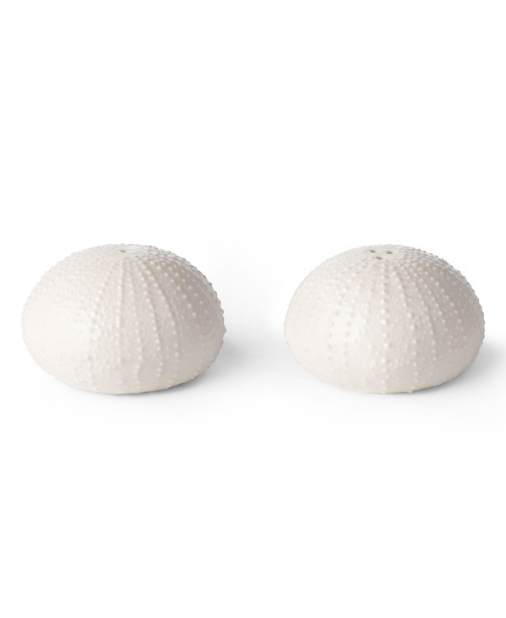 White Sea Urchin Salt and Pepper Shakers