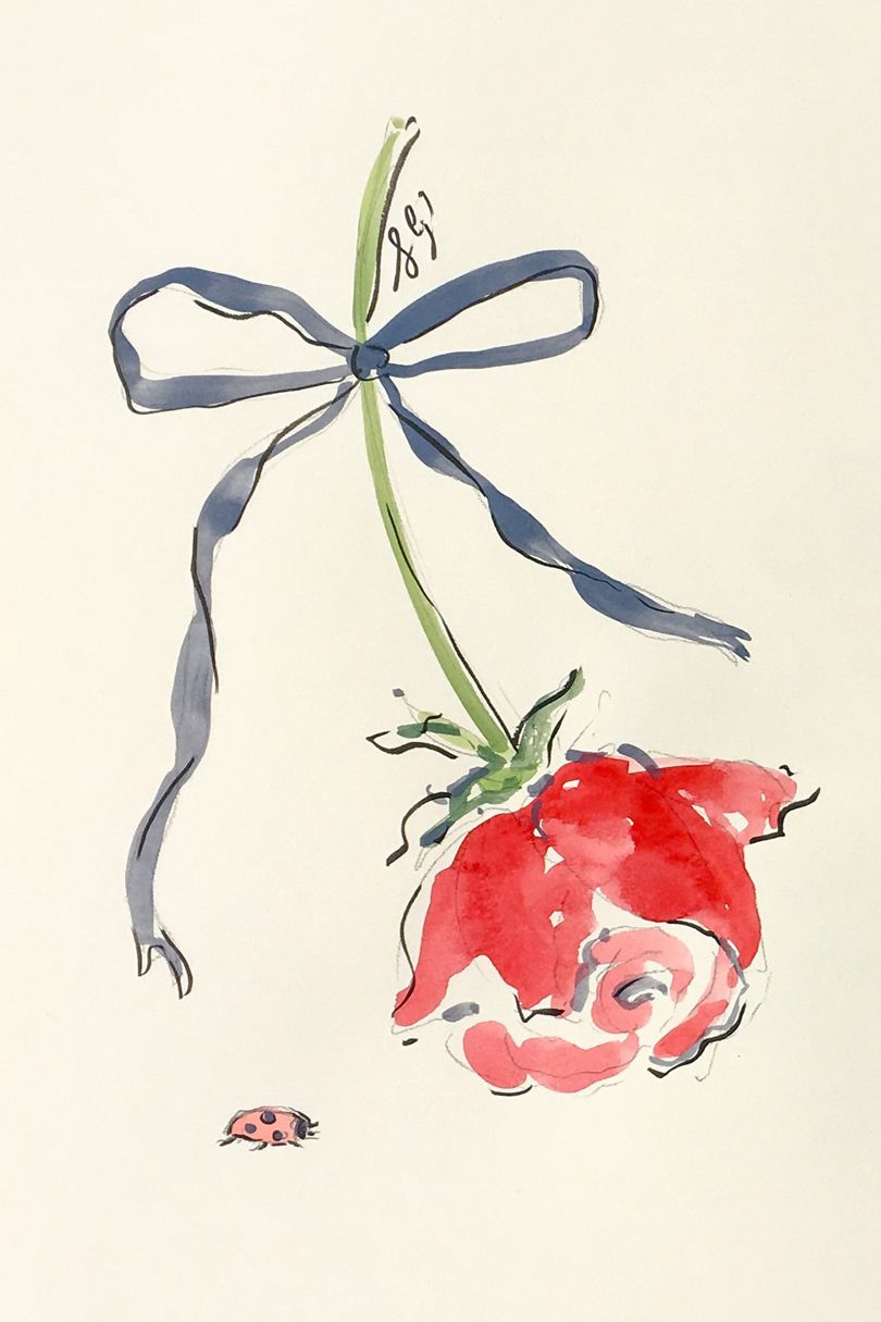 Susannah Garrod Illustration Rose Lady Bug with Bow