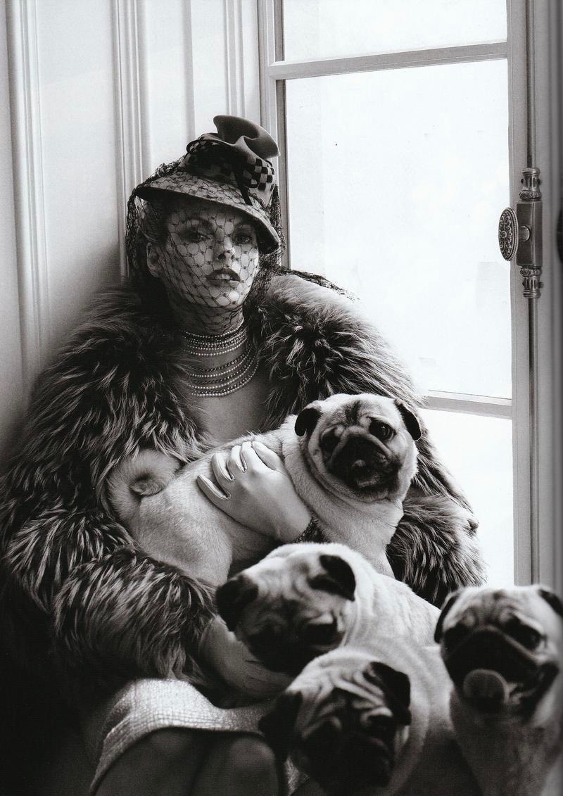 Pugs in Vogue Linda Evangelista