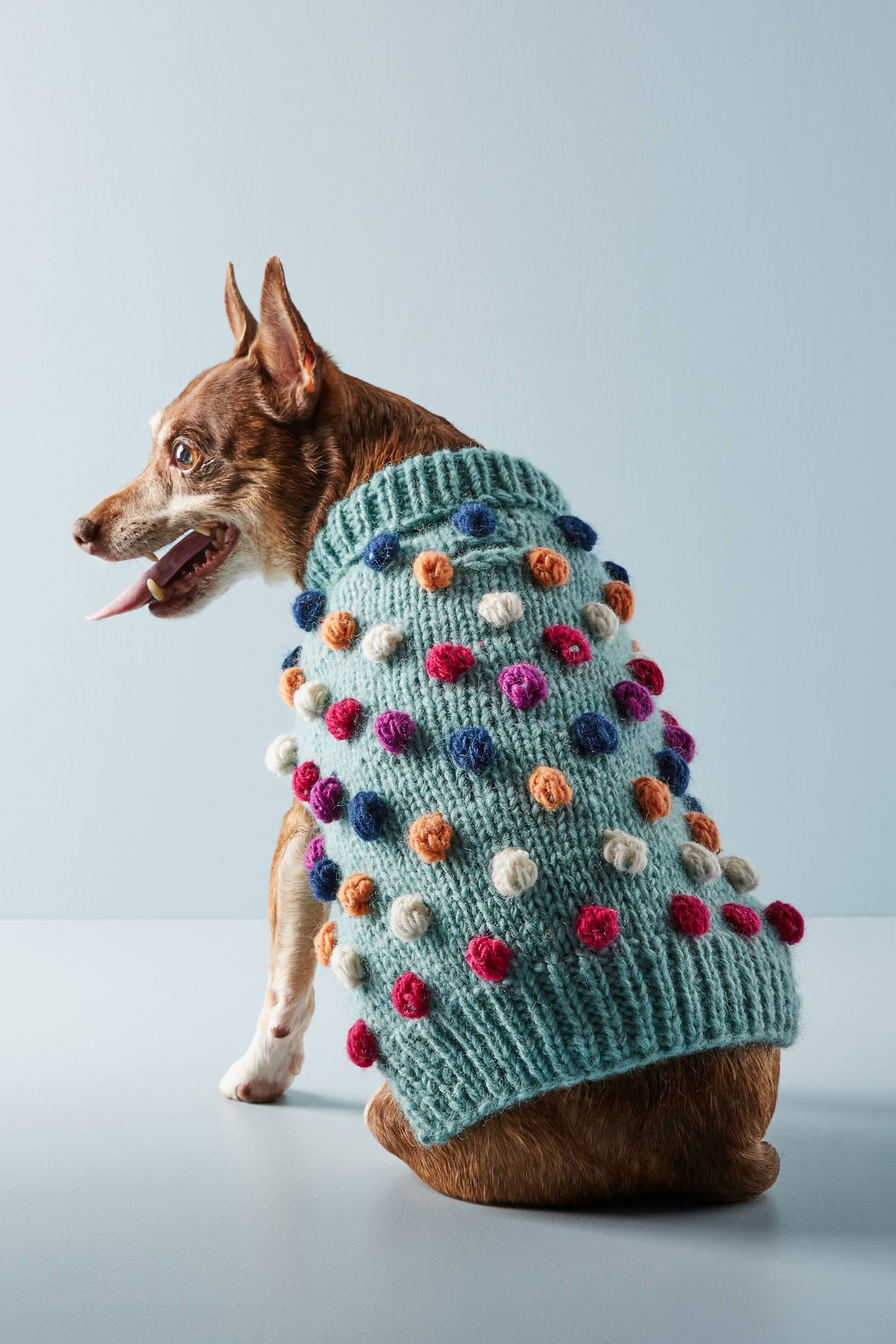 Pom Pom Dog Sweater