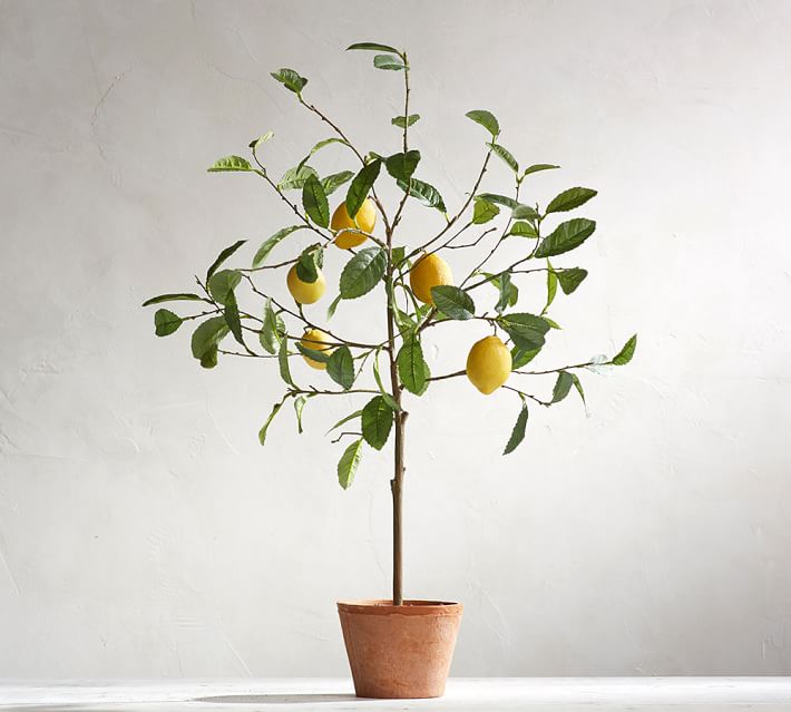 Faux Potted Lemon Tree