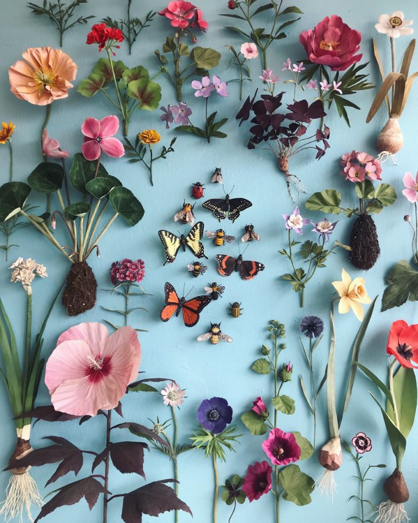 Ann Wood Paper Botanical Artist