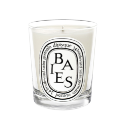 Diptyque Berry Scented Candle