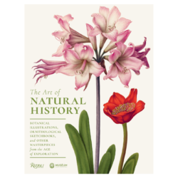 The Art of Natural History: Botanical Illustrations, Ornithological Drawings, and Other Masterpieces from the Age of Exploration