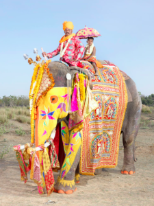 Jaipur’s Painted Elephants